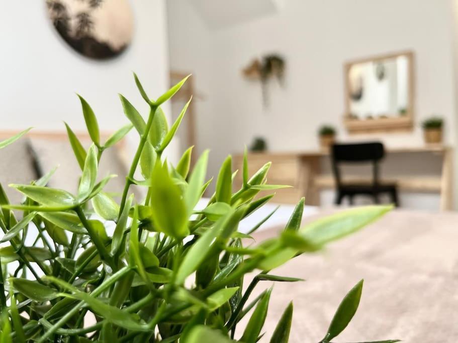 Apartamento Vive Zaragoza V エクステリア 写真